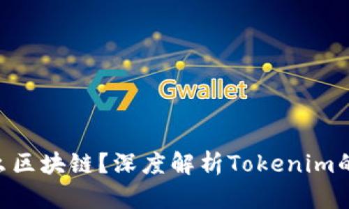Tokenim属于什么区块链？深度解析Tokenim的底层技术与生态